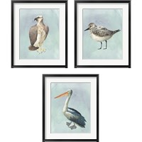 Framed 'Watercolor Beach Bird 3 Piece Framed Art Print Set' border=