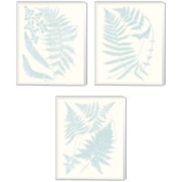 Framed 'Serene Ferns 3 Piece Canvas Print Set' border=