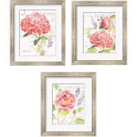 Framed 'Maison Des Fleurs 3 Piece Framed Art Print Set' border=