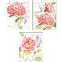 Framed 'Maison Des Fleurs 3 Piece Art Print Set' border=