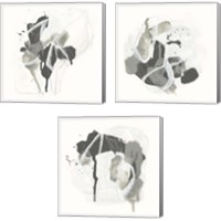 Framed 'Monochrome Missive 3 Piece Canvas Print Set' border=