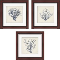 Framed 'Coral Trio in Indigo 3 Piece Framed Art Print Set' border=