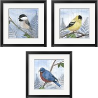 Framed 'Eastern Songbird 3 Piece Framed Art Print Set' border=