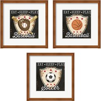 Framed 'Eat, Sleep, Play 3 Piece Framed Art Print Set' border=