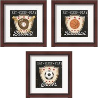 Framed 'Eat, Sleep, Play 3 Piece Framed Art Print Set' border=