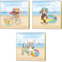 Framed 'Summer Paws 3 Piece Canvas Print Set' border=