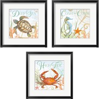 Framed 'Ocean Life 3 Piece Framed Art Print Set' border=