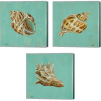 Framed 'Ocean's Gift 3 Piece Canvas Print Set' border=