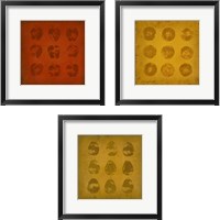 Framed 'All Lined Up Fruits 3 Piece Framed Art Print Set' border=