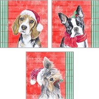 Framed 'Holiday Puppy 3 Piece Art Print Set' border=