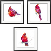 Framed 'Christmas Cardinal 3 Piece Framed Art Print Set' border=