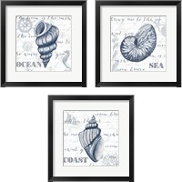 Framed 'Indigo Shell 3 Piece Framed Art Print Set' border=