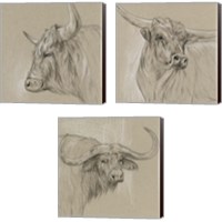Framed 'Bison Sketch 3 Piece Canvas Print Set' border=