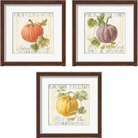 Framed 'Floursack Autumn 3 Piece Framed Art Print Set' border=