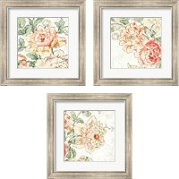 Framed 'Cottage Roses 3 Piece Framed Art Print Set' border=