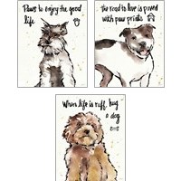 Framed 'Strike a Paws 3 Piece Art Print Set' border=