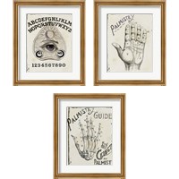 Framed 'Mystical  3 Piece Framed Art Print Set' border=