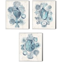 Framed 'Coastal Melange 3 Piece Canvas Print Set' border=