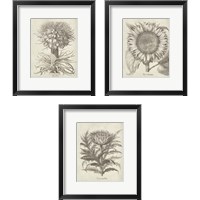 Framed 'Fresco Artichoke 3 Piece Framed Art Print Set' border=