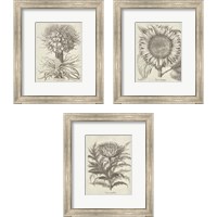 Framed 'Fresco Artichoke 3 Piece Framed Art Print Set' border=