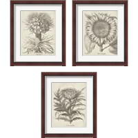 Framed 'Fresco Artichoke 3 Piece Framed Art Print Set' border=