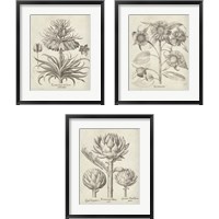 Framed 'Fresco Artichoke 3 Piece Framed Art Print Set' border=