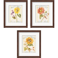 Framed 'Floursack Autumn 3 Piece Framed Art Print Set' border=