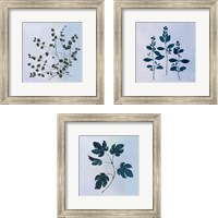 Framed 'Botanical StudyBlue 3 Piece Framed Art Print Set' border=