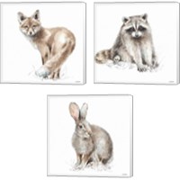 Framed 'Forest Friends 3 Piece Canvas Print Set' border=