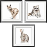 Framed 'Forest Friends 3 Piece Framed Art Print Set' border=