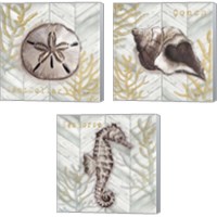 Framed 'Gray Gold Chevron Sea Life 3 Piece Canvas Print Set' border=