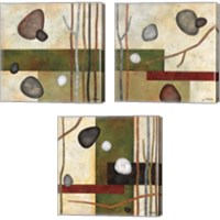 Framed 'Sticks and Stones 3 Piece Canvas Print Set' border=