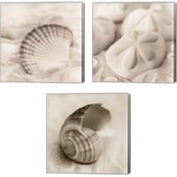 Framed 'La Mer 3 Piece Canvas Print Set' border=