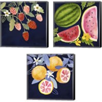 Framed 'Fresh Fruit 3 Piece Canvas Print Set' border=