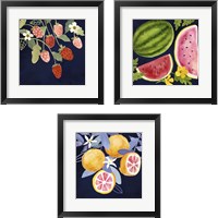 Framed 'Fresh Fruit 3 Piece Framed Art Print Set' border=