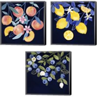 Framed 'Fresh Fruit 3 Piece Canvas Print Set' border=