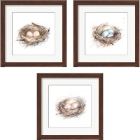 Framed 'Bird Life 3 Piece Framed Art Print Set' border=