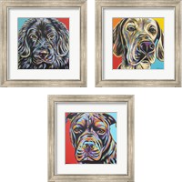 Framed 'Canine Buddy 3 Piece Framed Art Print Set' border=