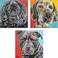 Framed 'Canine Buddy 3 Piece Art Print Set' border=