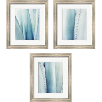 Framed 'Pale Blue Agave 3 Piece Framed Art Print Set' border=