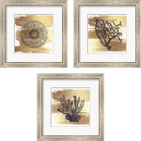 Framed 'Brushed Gold Nautical 3 Piece Framed Art Print Set' border=