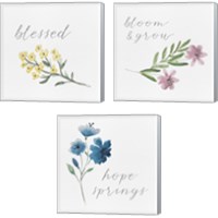 Framed 'Wildflowers and Sentiment 3 Piece Canvas Print Set' border=