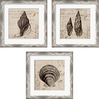 Framed 'Ocean Collection 3 Piece Framed Art Print Set' border=