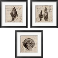 Framed 'Ocean Collection 3 Piece Framed Art Print Set' border=