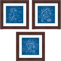 Framed 'Blueprints 3 Piece Framed Art Print Set' border=