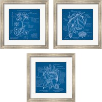 Framed 'Blueprints 3 Piece Framed Art Print Set' border=