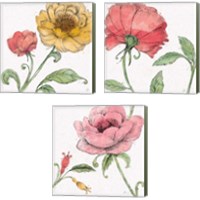 Framed 'Blossom Sketches Color 3 Piece Canvas Print Set' border=