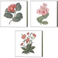 Framed 'Monument Etching Tile Flowers 3 Piece Canvas Print Set' border=