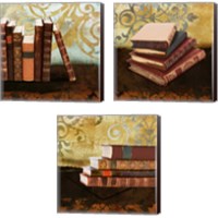 Framed 'Study 3 Piece Canvas Print Set' border=