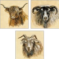Framed 'Highland Animal 3 Piece Art Print Set' border=